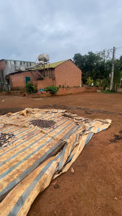 Bán nhà vườn Đắk Song 810m² giá 1 tỷ - View hồ tự nhiên tuyệt đẹp!