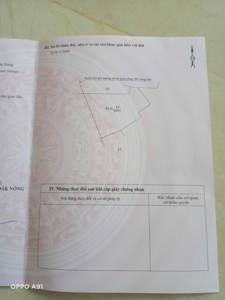 Đất nền Gia Nghĩa 9000m² giáp hồ trung tâm - Tiềm năng tăng giá!