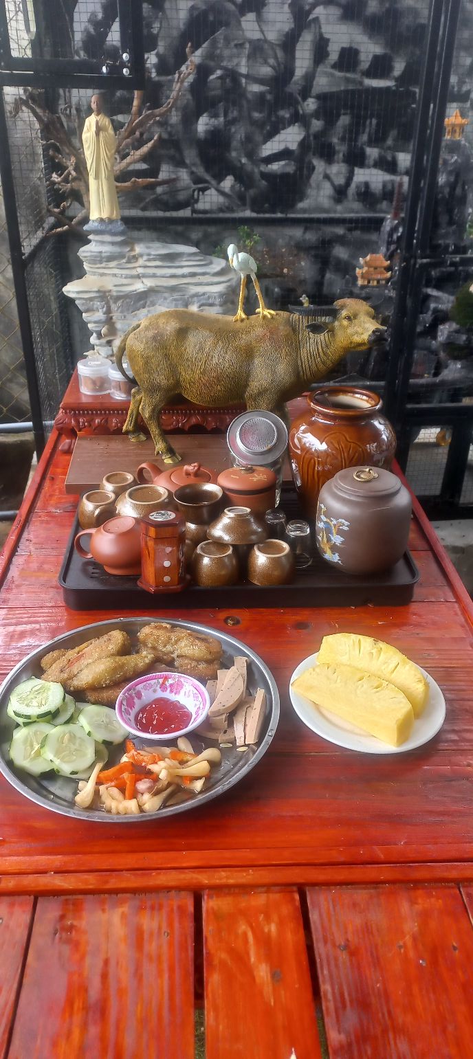 Đất Vườn Tam Hải, Núi Thành 294m² - Chốn An Yên Giá 920 Triệu