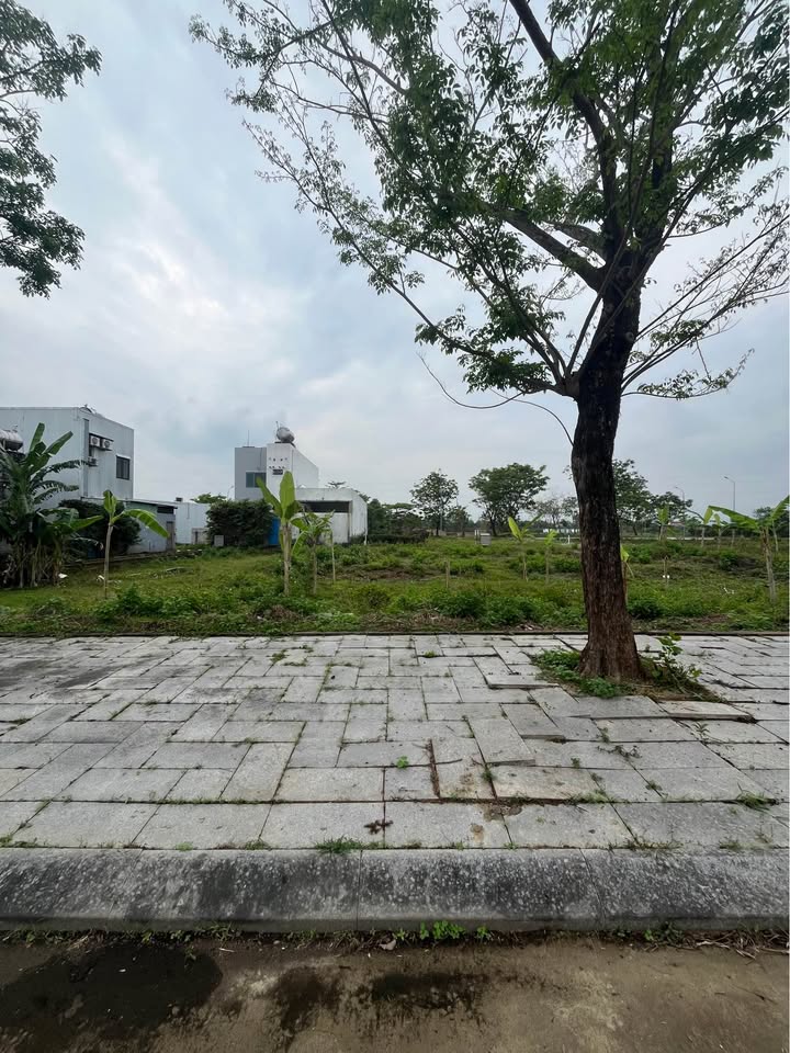 Đất Nền Goldenhill A4 - 125m² Hướng Bắc - Sổ Đỏ Sẵn Sàng - Giá Tốt