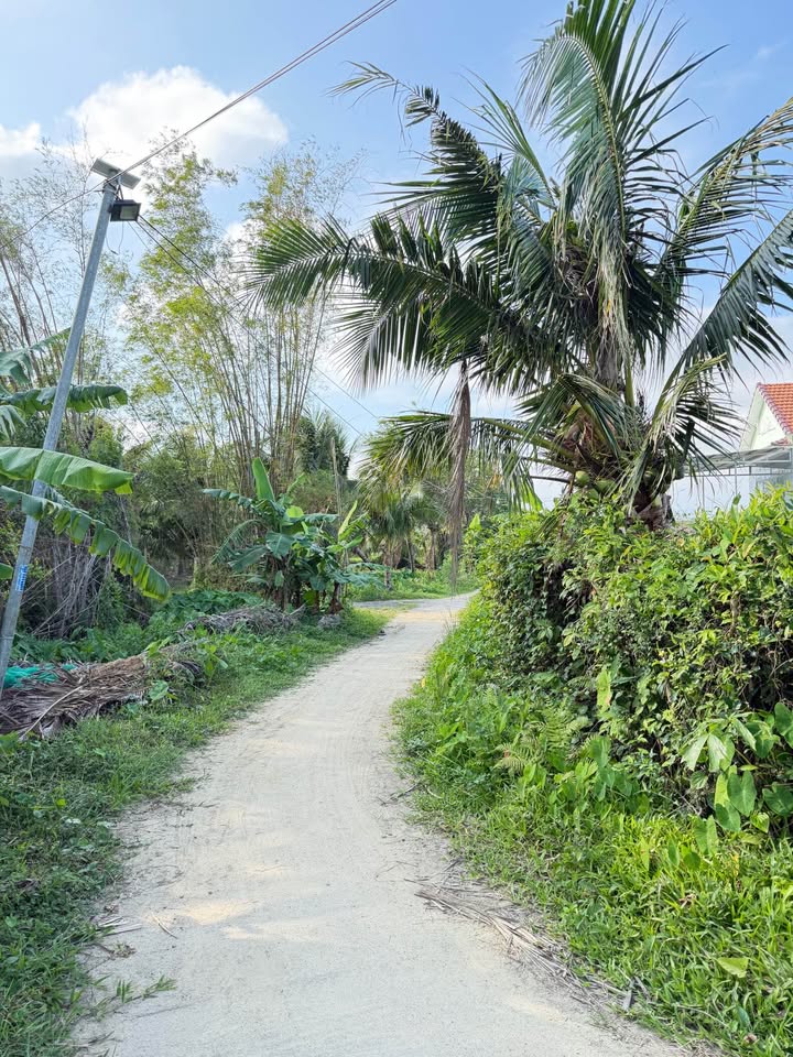 Đất nền Cát Hiệp, Phù Cát 120m² - Sổ đỏ chính chủ, ô tô vào tận nơi!