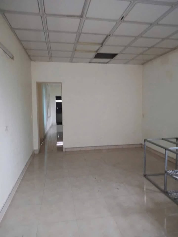 Nhà Cấp 4 Gác Lửng 68.4m² An Lão, Hải Phòng - Giá 900 Triệu