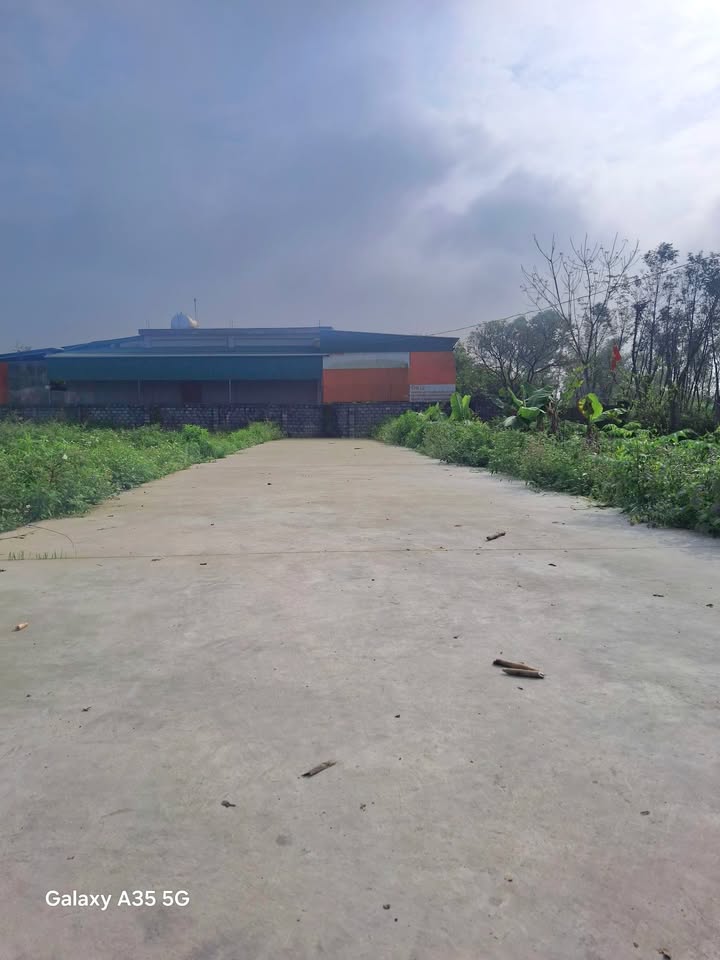 Đất nền Nghi Lộc 100m² chỉ 6xx triệu - Tiềm năng tăng giá vượt trội!