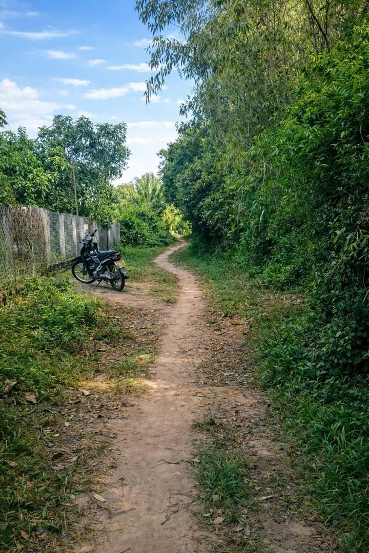 Đất Nền Phước An, Tuy Phước 400m² Sổ Hồng Riêng - Giá Tốt Đầu Năm