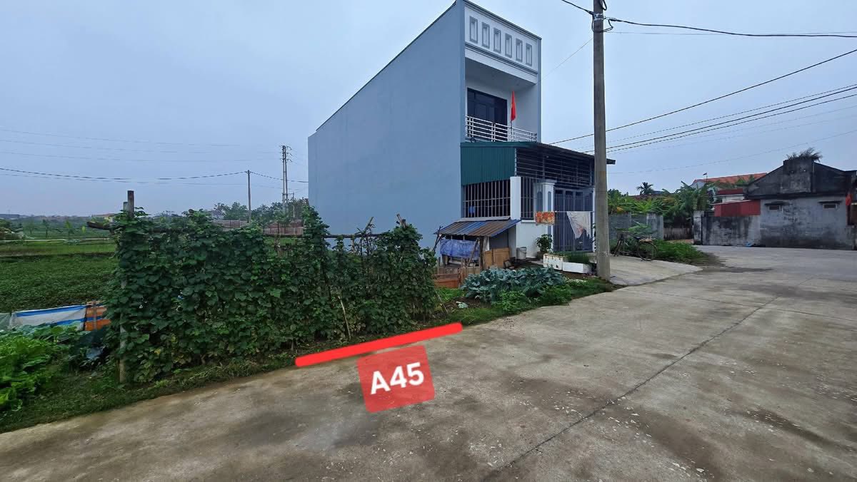 Đất nền Đại Tự Vĩnh Tường 105m² giá 1 tỷ 9xx triệu - Sổ hồng chính chủ!