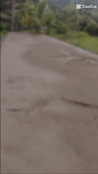 Đất Nền 143m² Thuận Điền, Bến Tre - Giá Tốt Đầu Tư