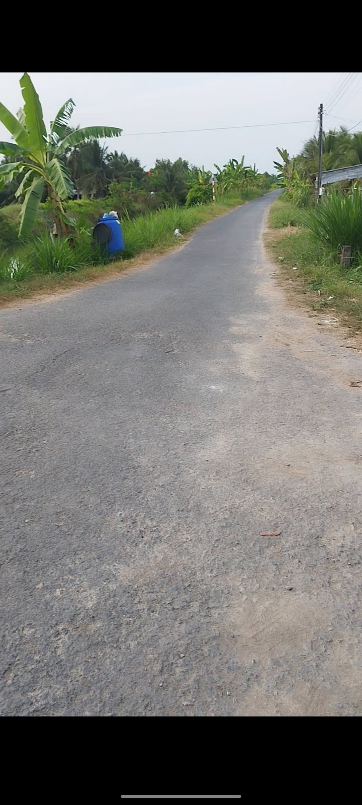 Đất Lúa Vũng Liêm 10.000m² giá 1.8 tỷ - Sổ đỏ chính chủ!