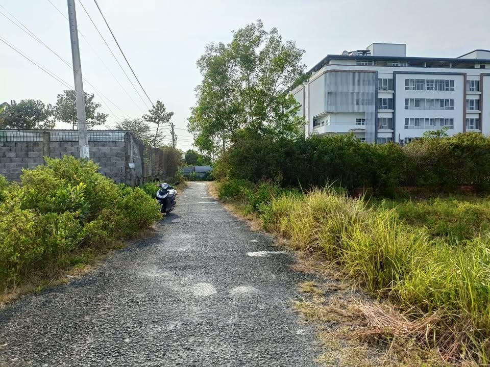 Đất nền full thổ 65m² nhánh số 2 Thiên Ân, Châu Thành, Trà Vinh - Giá đầu tư 340 triệu