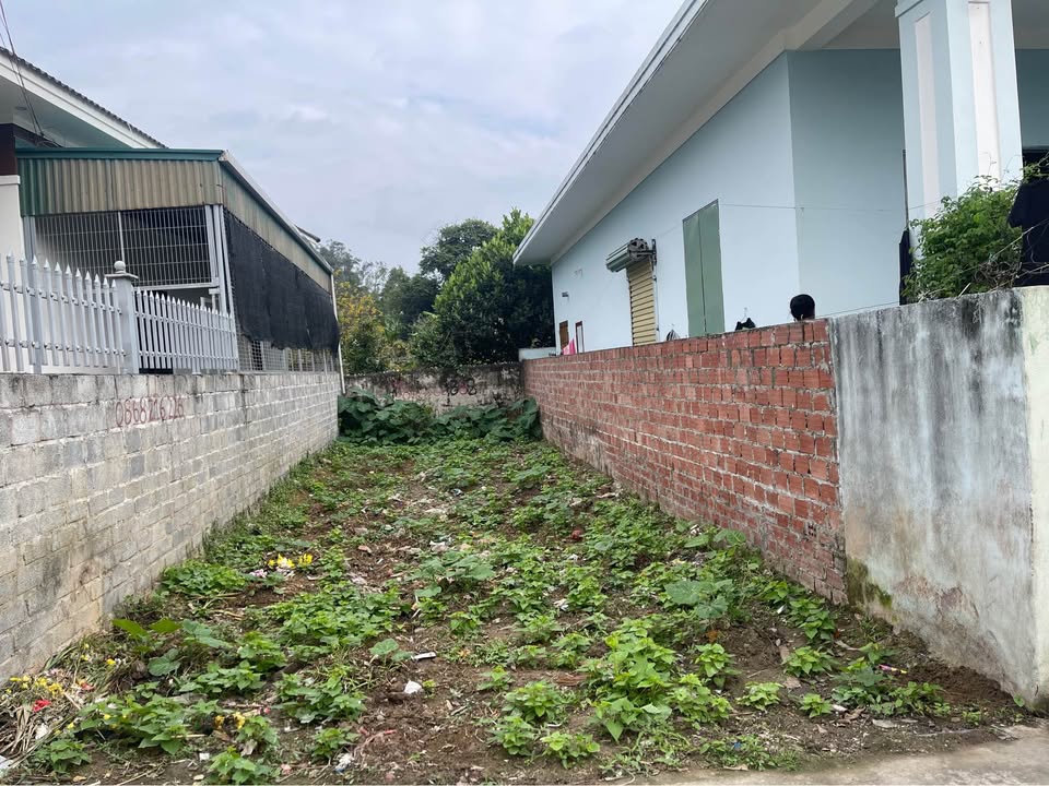 Bán đất Quảng Thanh, Hải Phòng 75m² - Ngõ ô tô, giá hơn 9xx triệu