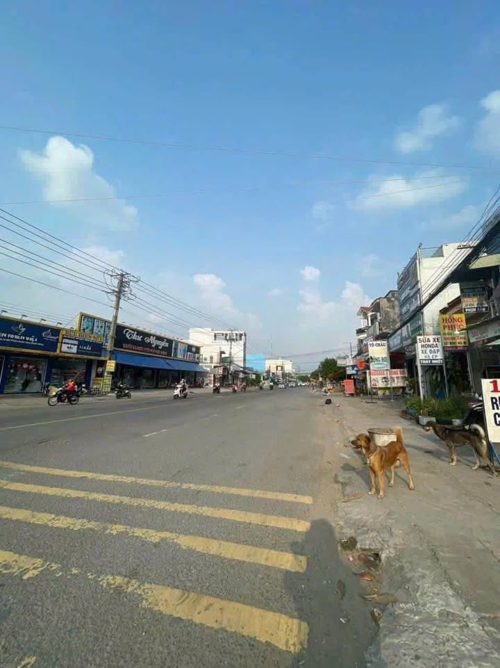 Nhà Mặt Tiền QL62 Tân An 62m² - Kinh Doanh Đắc Lợi, Giá 6.5 Tỷ