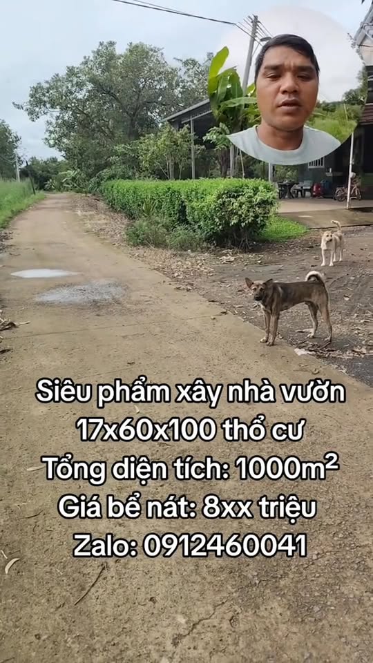 Đất nền Tân Phước, Đồng Phú Bình Phước 8xx triệu - Tiềm năng tăng giá!