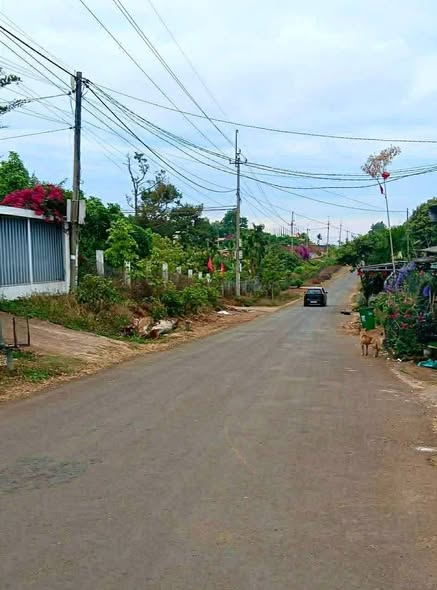 Đất nền Đắk Lao 480m² - Sổ đỏ chính chủ, tiềm năng đầu tư!