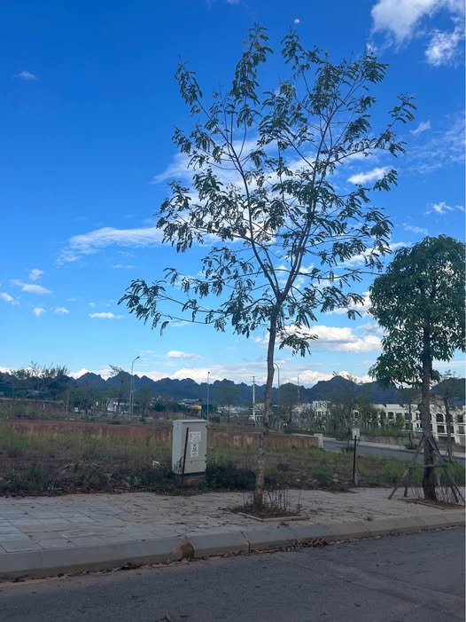 Đất nền Flhill Sơn La 102m²/1.734 tỷ - Sổ đỏ chính chủ