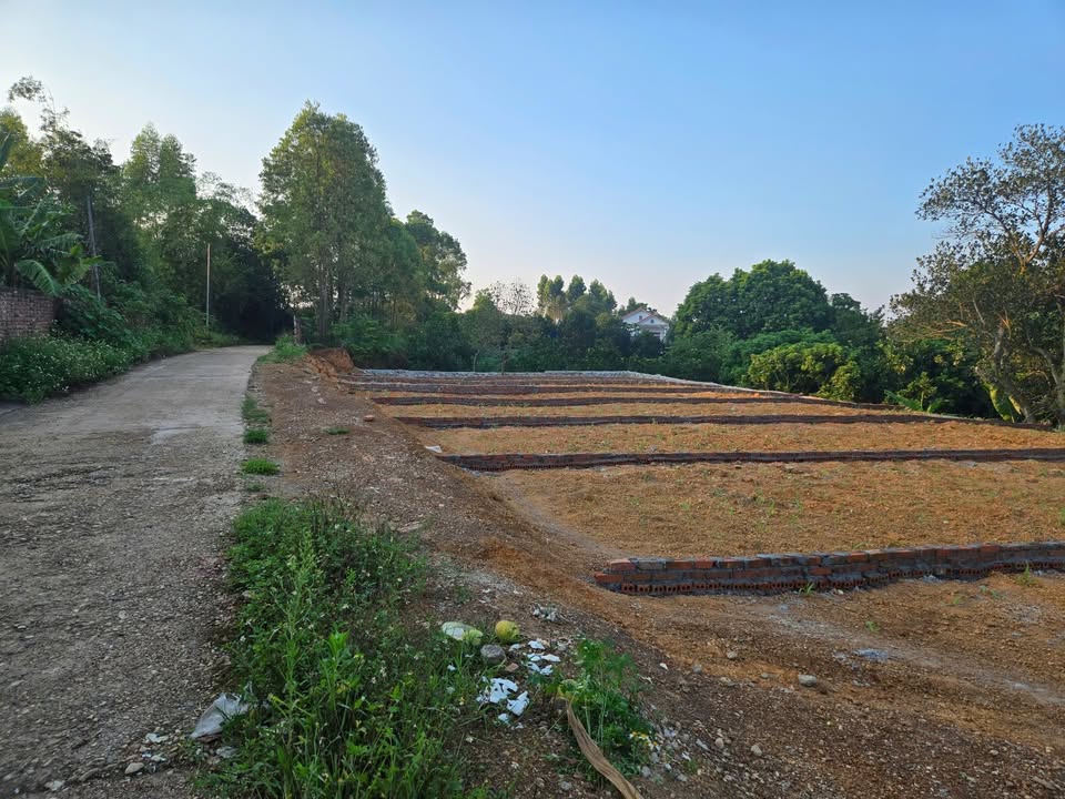 Bán đất nền 99m² tại Khu 3B, Việt Trì - Sẵn Sổ Hồng, Giá Tốt