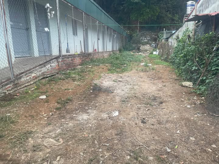 Đất nền Tổ 9 Quyết Thắng Sơn La 160m² giá 700 triệu - Đường to ô tô!