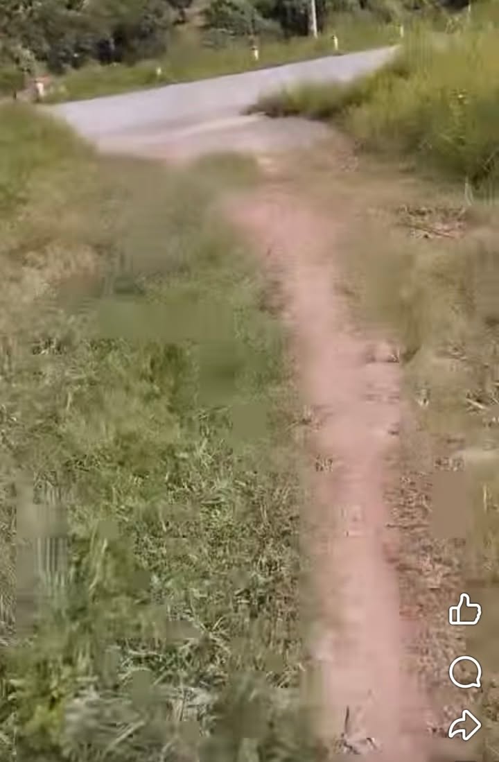 Farm Sơn Hải Lục Ngạn 2.900m² 362.5 triệu - Đầu tư dài hạn