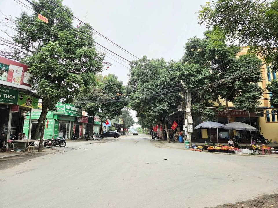 Đất Vĩnh Yên 100m² Thổ Cư - Đầu Tư Sinh Lời, An Cư Lý Tưởng