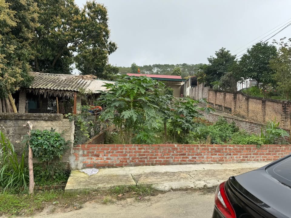 Đất Tái cư Phú Thọ 131m² Sổ Đỏ - Gần KCN Phú Hà