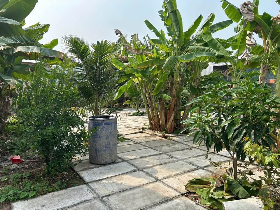 Đất Vườn An Giang 221m² - Giá 600 Triệu, Sổ Đỏ, Gần Trung Tâm Long Xuyên