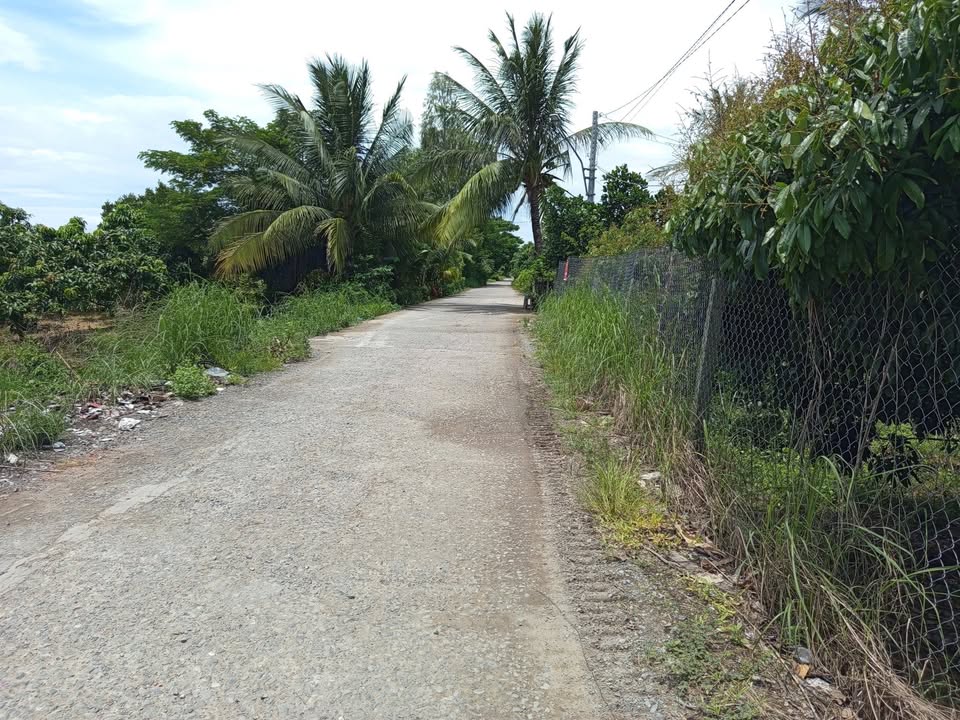 Đất Vườn An Giang 2600m² Chính Chủ - Giá Đầu Tư 1 Tỷ/m²