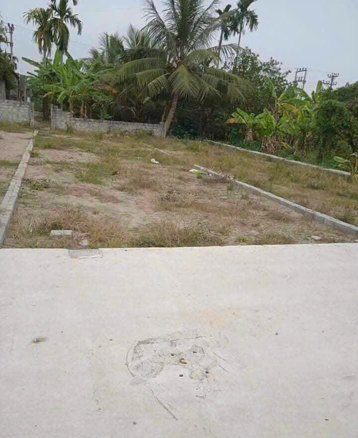 Đất nền Văn Tố, Tứ Kỳ 100m² - Tiềm năng tăng giá vượt trội!