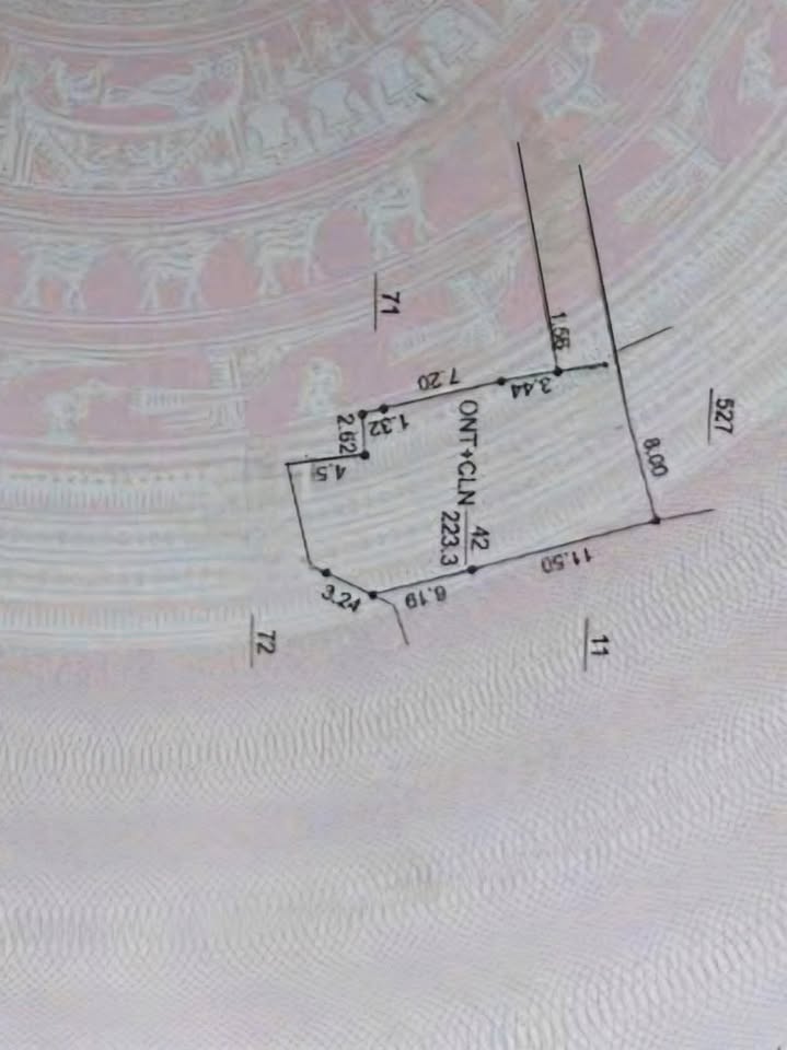 Đất nền Hiệp Lực Ninh Giang 223m² - Sổ đỏ chính chủ, tiềm năng sinh lời!