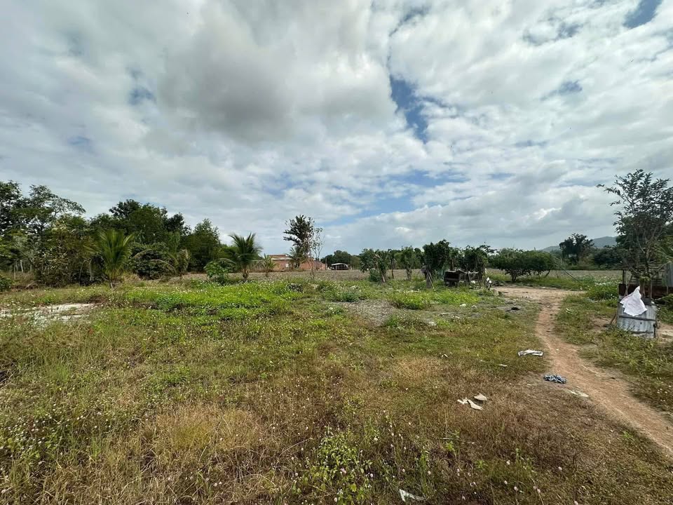 Đất nền Ninh Hòa 1316m² - Sổ hồng thổ cư, gần KCN sắp khởi công