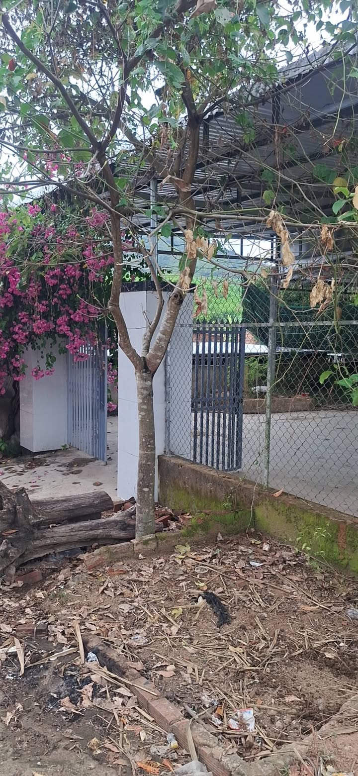 Bán Gấp Nhà Vườn 571m² Khánh Nam, Khánh Vĩnh - Chỉ 800 Triệu