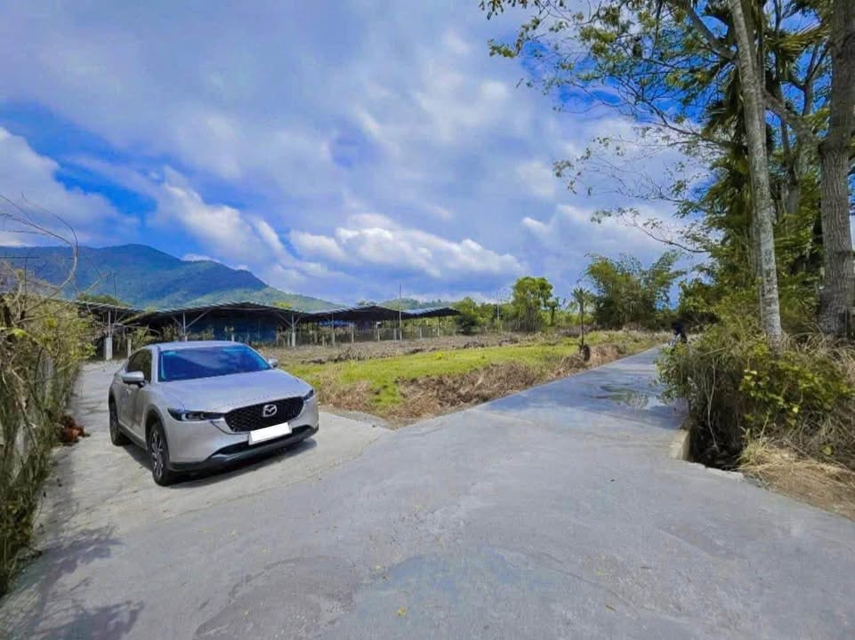 Đất nền Suối Tiên, Diên Khánh 78m² Full Thổ Cư - Giá 349 Triệu