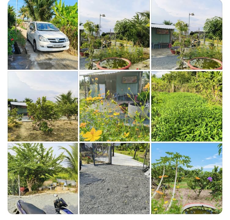 Bán Đất Vườn 805m² Phường Bảo An, Ninh Thuận - Sổ Hồng Sẵn Sàng