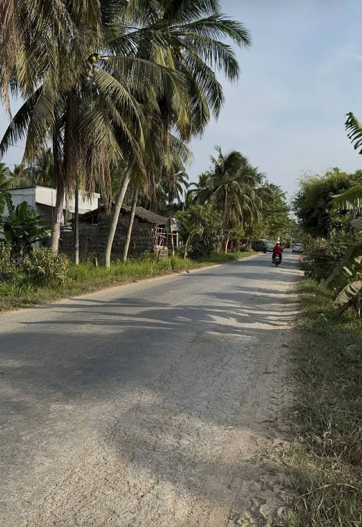 Bán Nền Mặt Tiền Tỉnh Lộ 911, Trà Vinh - 1062m² Giá 1.5 Tỷ