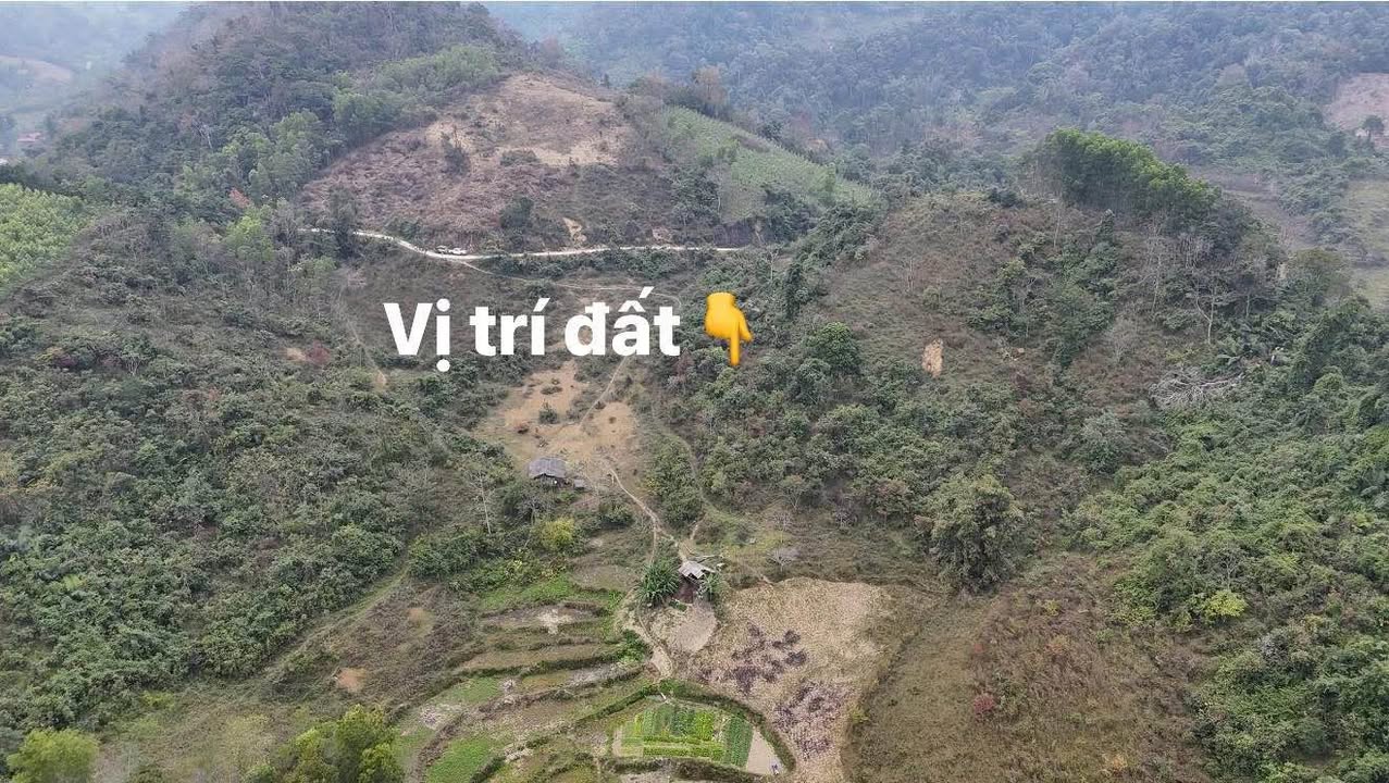 Bán Gấp 14ha Đất Vườn, Thị Trấn Yến Lạc, Bắc Kạn - Sẵn Sàng Đầu Tư Mọi Loại Hình