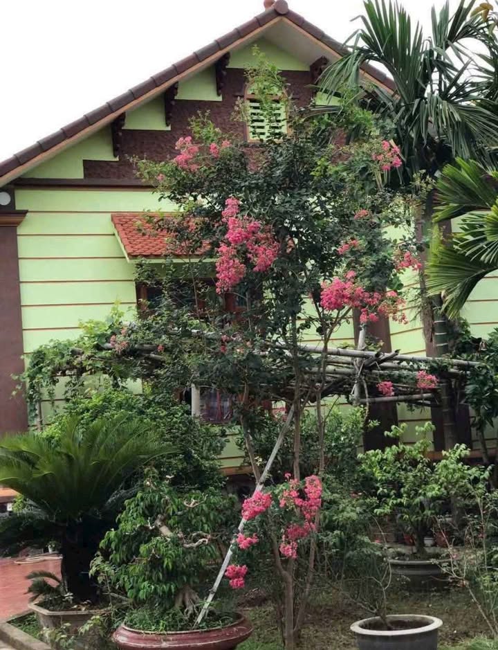 Đất vườn Bắc Cường Lào Cai 2.333m² 40 tỷ - Đường to ô tô