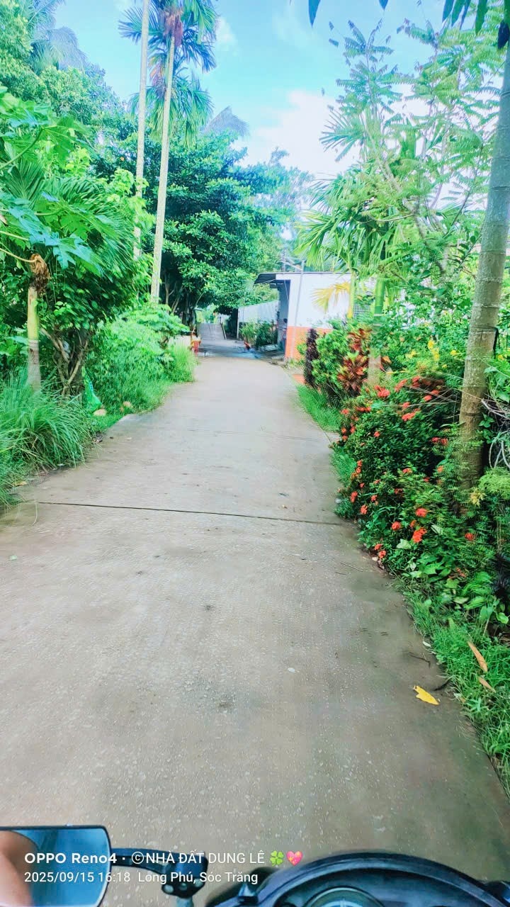 Đất nền Trường Khánh Sóc Trăng 2340m² giá 575 triệu - Sổ hồng chính chủ!