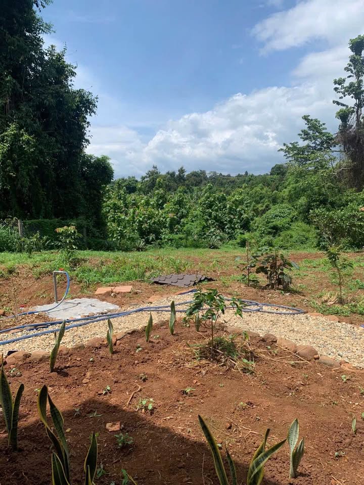 Bán Gấp Nhà Vườn 1609m² Đắk Lắk - Sổ Riêng, Giáp Suối Lớn