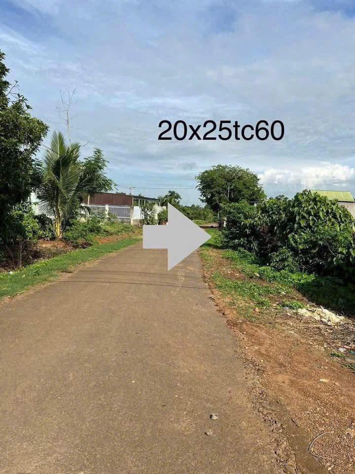 Đất nền Phường Thành Công BMT 500m² giá 2.4 tỷ - Tiềm năng tăng giá!