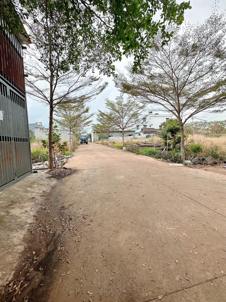 Nhà hẻm Nguyễn Thị Định BMT 100m² - Ô tô vào tận nhà, giá tốt!