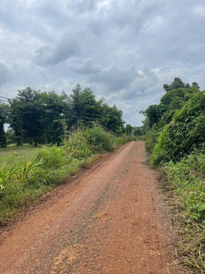 Đất Vườn 1020m² Hòa Xuân, Buôn Ma Thuột - Sổ Đỏ Sẵn, Giá Đầu Tư 410 Triệu