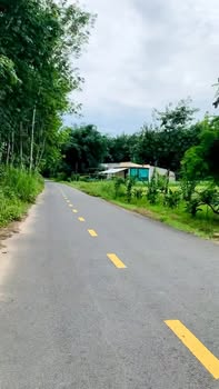 Bán gấp đất Long Nguyên, Bàu Bàng 800m² - Mặt tiền nhựa 5m, giá 1.1 tỷ