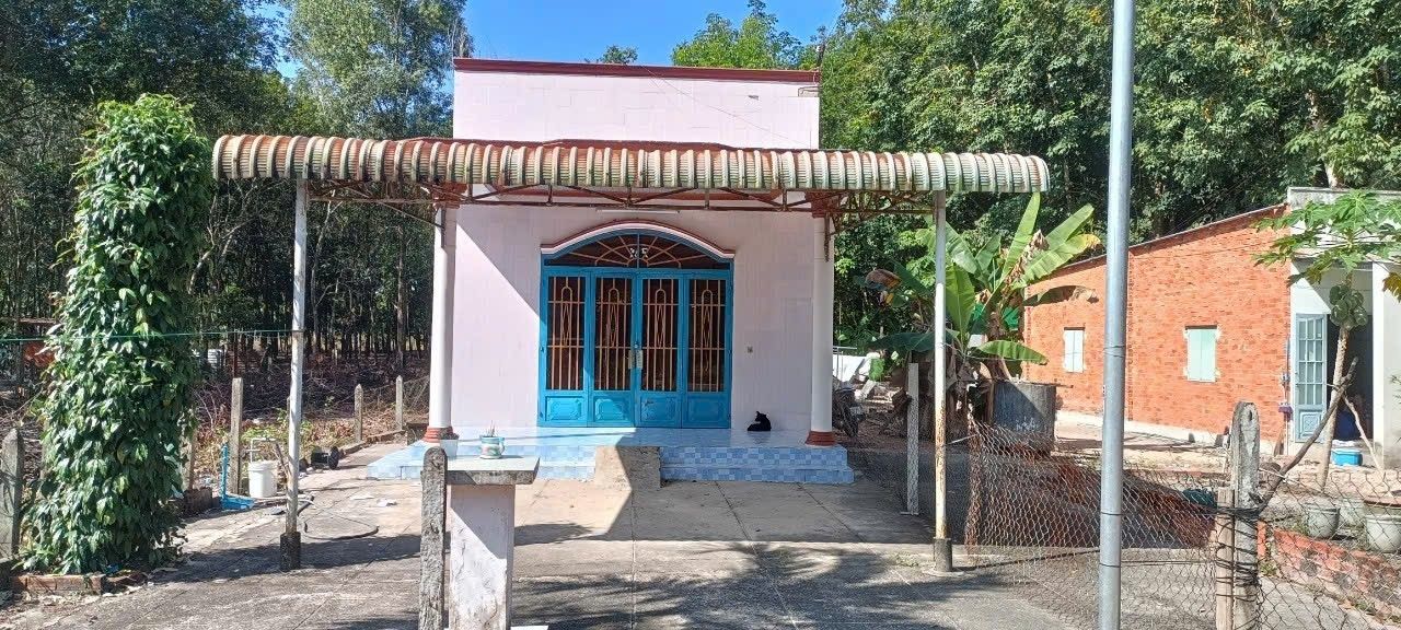 Đất thổ cư 100m² H. Bàu Bàng, Bình Dương - Giá 1 tỷ, Sẵn sổ hồng