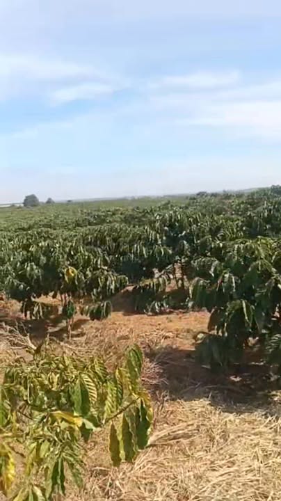 Đất nền Lộc Quảng, Bảo Lâm 2700m² - Đất thổ cư 100%!