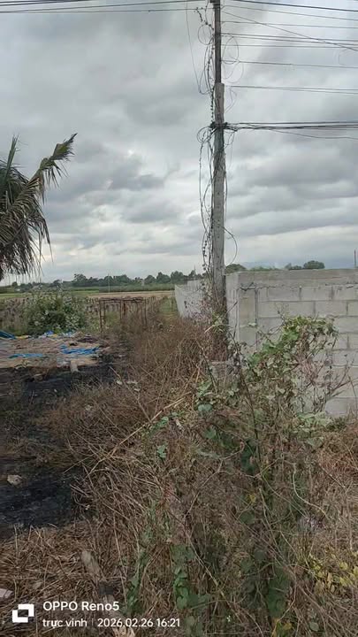 Đất nền Hàm Đức 6.200m²/6.2 tỷ - Sổ đỏ chính chủ