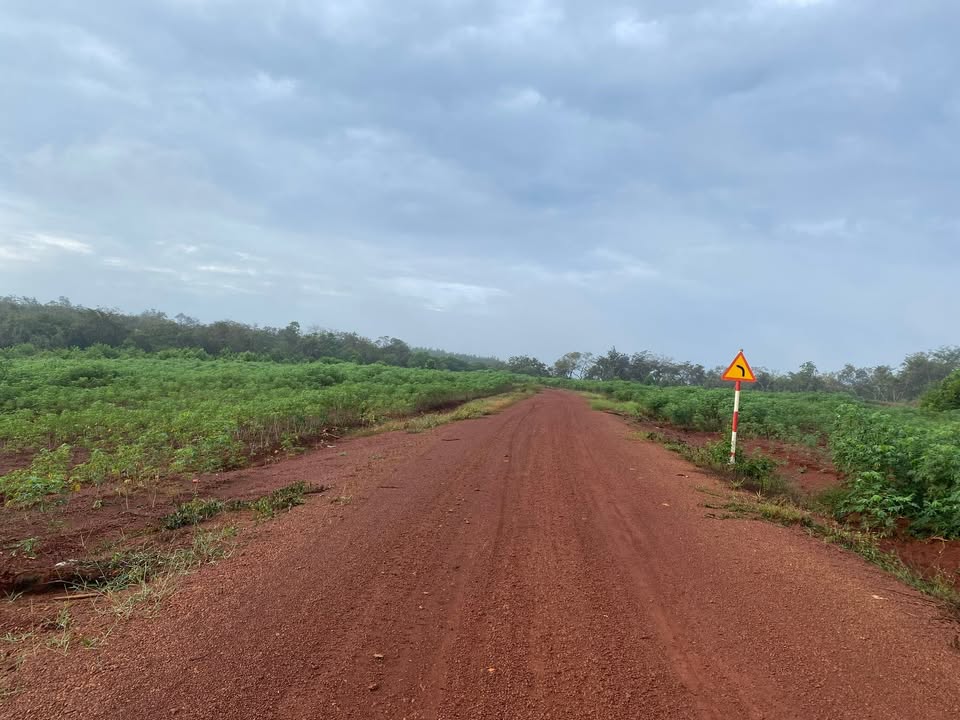 Đất nền Ấp Suối Đa, Tân Hưng 1173m² - Giá chỉ 399 triệu, chính chủ!