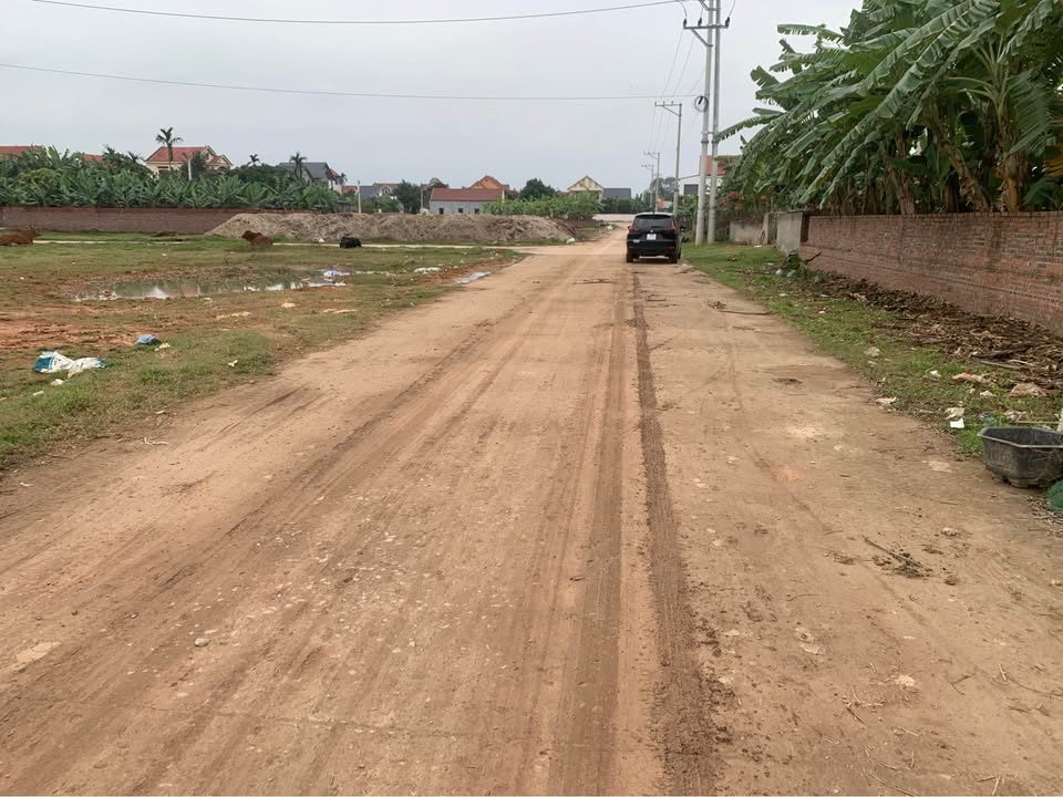 Bán Đất Thổ Cư 379m² Mặt Tiền 21.5m Tại Lâm Thao, Phú Thọ - Sẵn Sổ Hồng