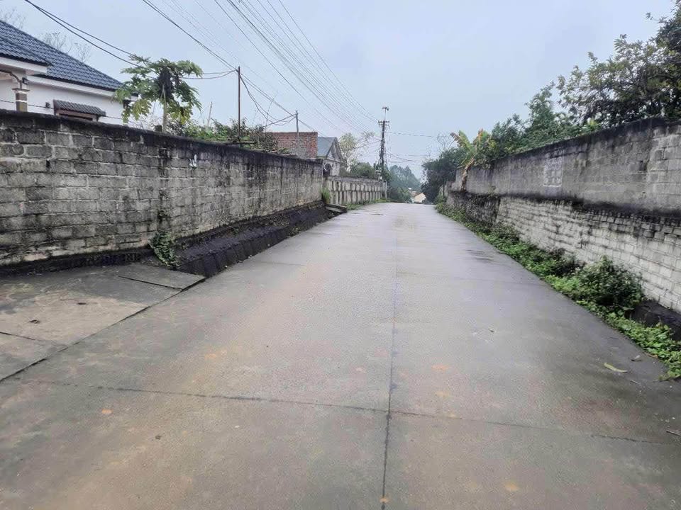 Bán đất Phù Ninh 155m² - Đường ô tô tránh, khu dân cư đông đúc