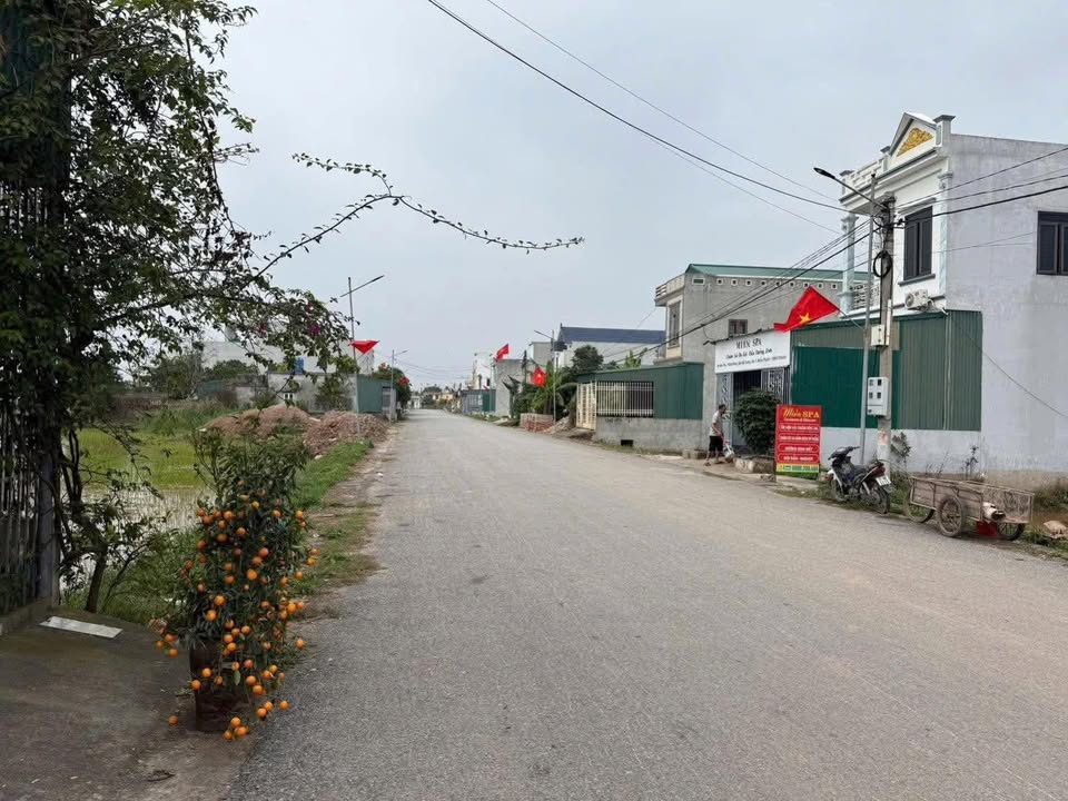 Đất nền Tiền Hải 110m² - Mặt tiền đường cứu hộ, giá 1.4 tỷ