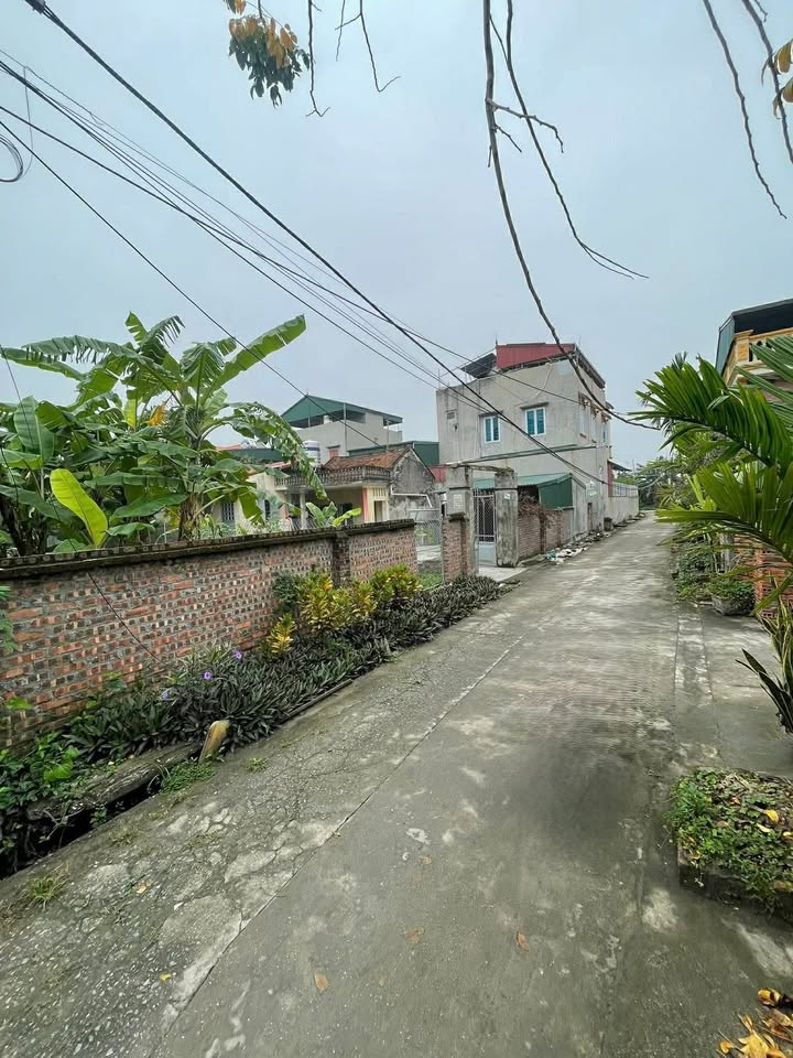 Đất nền Bình Giang Hải Dương 82.4m² giá 7 tỷ - Đường to ô tô thông!