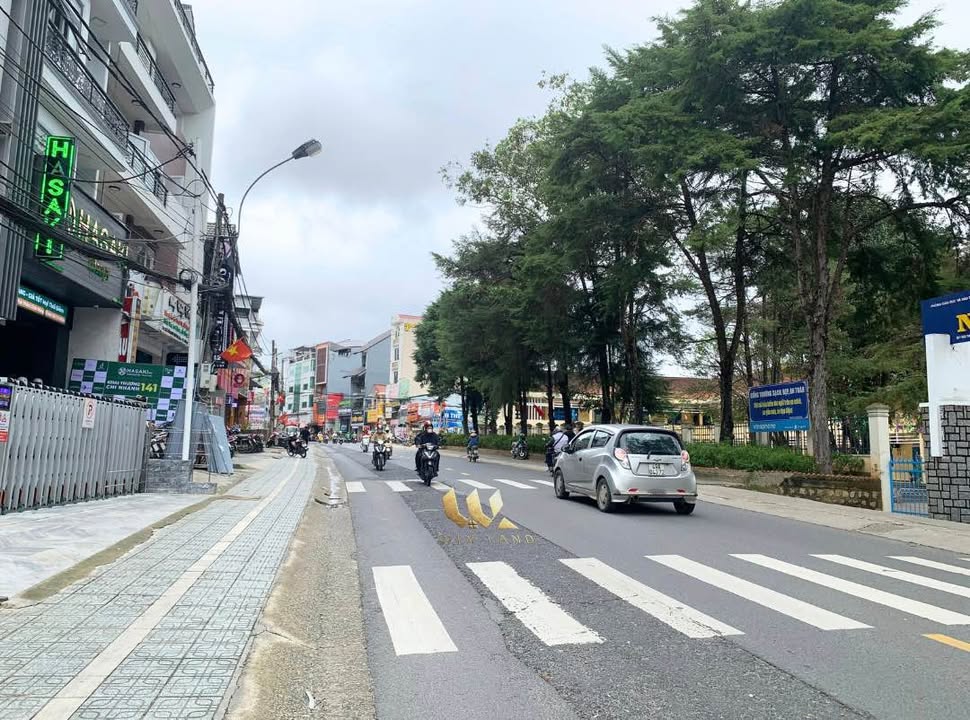 Nhà riêng Bùi Thị Xuân Đà Lạt 7 tỷ - Sổ hồng sẵn, ô tô vào tận nhà!