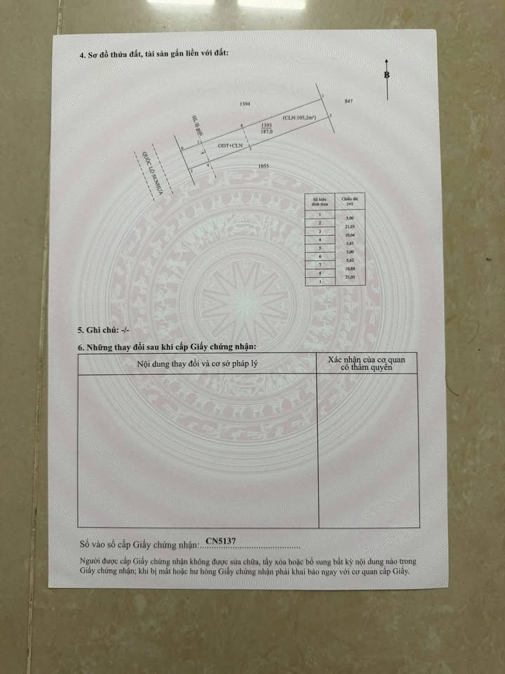 Đất nền Mặt tiền QL50 Cần Đước 190m² - Sổ đỏ chính chủ!