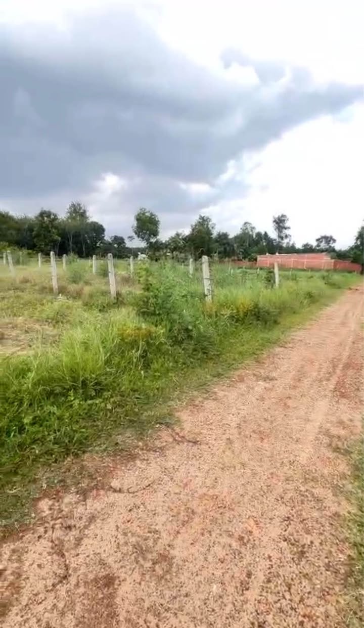 Đất Nền 190m² Sổ Hồng Riêng - Giá 115 Triệu Tại Châu Thành, Tây Ninh